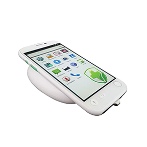 Multipurpose Medical Handterminal