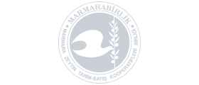 Marmara Birlik
